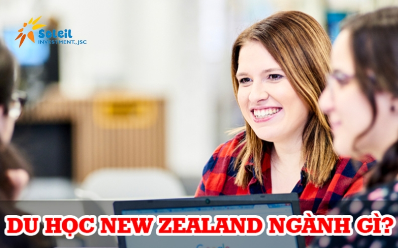 du hoc new zealand nen hoc nganh gi 2