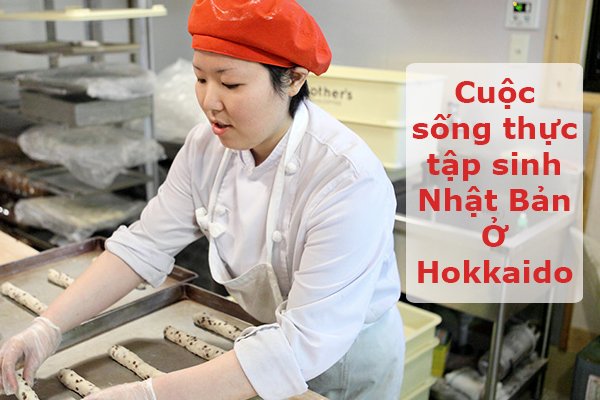 thuc tap sinh nhat ban o hokkaido 67c7f827090c1