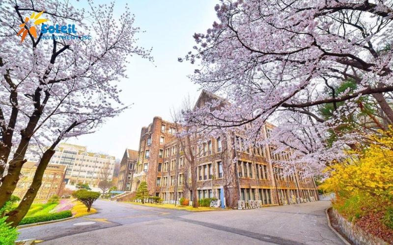 4 hinh thuc luu tru khi du hoc han quoc ai cung can nam 680f45de86cce