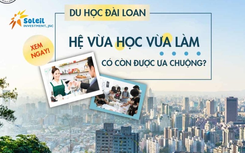 co nen du hoc dai loan he vua hoc vua lam 6800c20aa012d