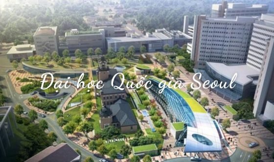 Đại học quốc gia Seoul: lấy bao nhiêu điểm, đứng thứ mấy thế giới? Đại học quốc gia Seoul: lấy bao nhiêu điểm, đứng thứ mấy thế giới?