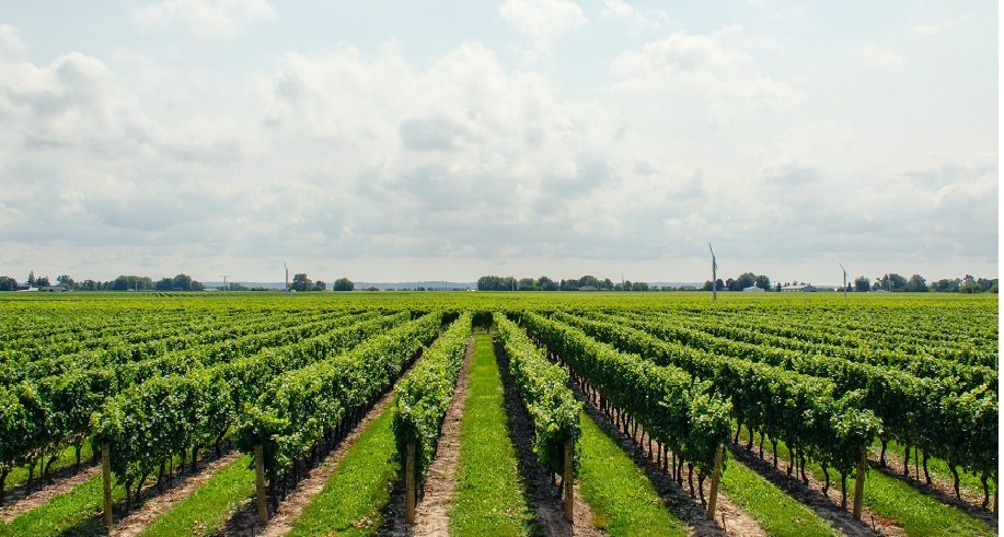 dieu kien xkld hy lap la gi 6801c5e2f0cc7