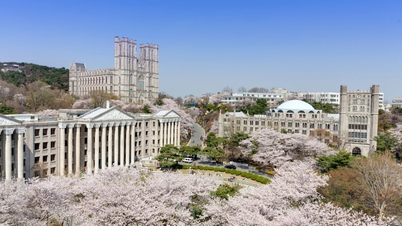 Độ tuổi du học Hàn Quốc Độ tuổi du học Hàn Quốc