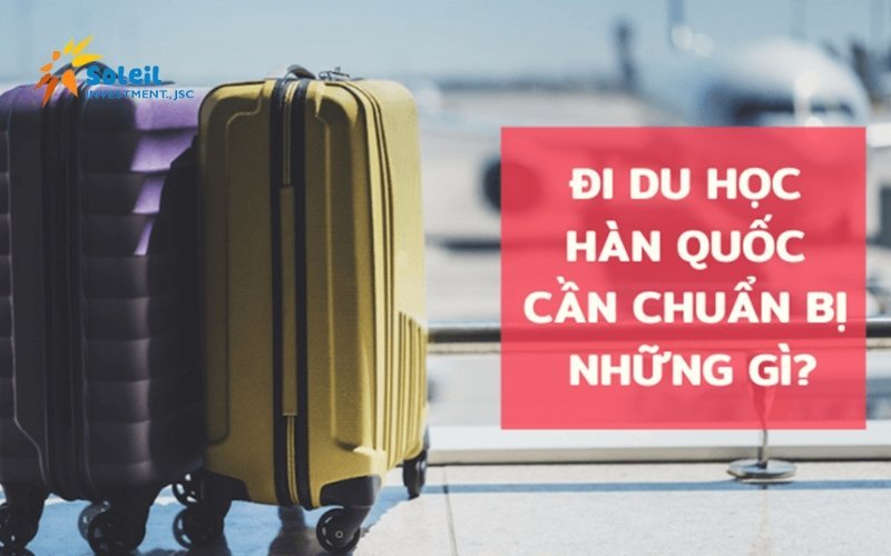 du hoc han quoc can chuan bi nhung gi 6801cc5442edc