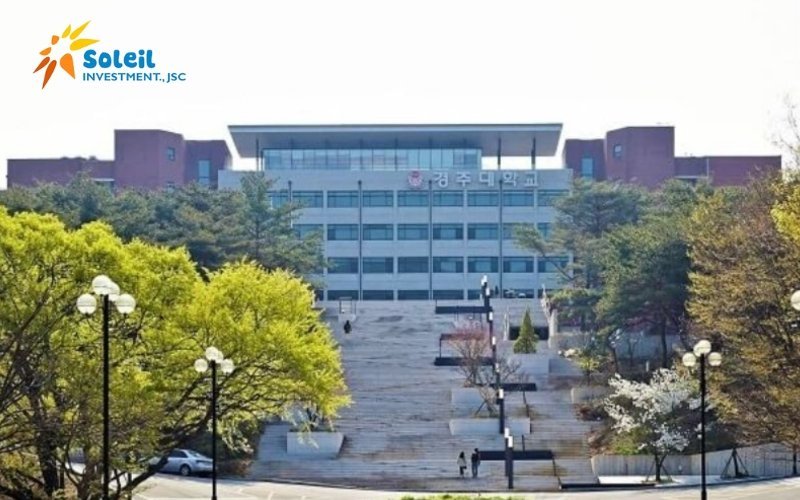 Du học Hàn Quốc ngành làm đẹp du hoc han quoc nganh lam dep 6801d1a56fe87