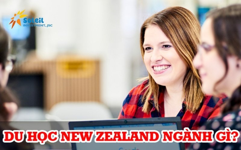 du hoc new zealand nen hoc nganh gi de xin viec va co co hoi dinh cu 6801d7ca218b0