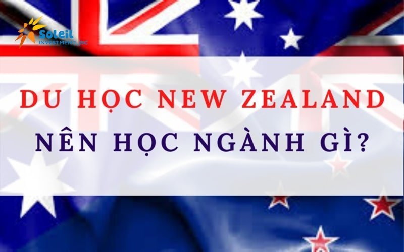 du hoc new zealand nen hoc nganh gi de xin viec va co co hoi dinh cu 6801d7ca23125