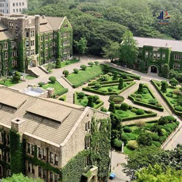 Học đại học ở Hàn Quốc có khó không? Học đại học ở Hàn Quốc có khó không?
