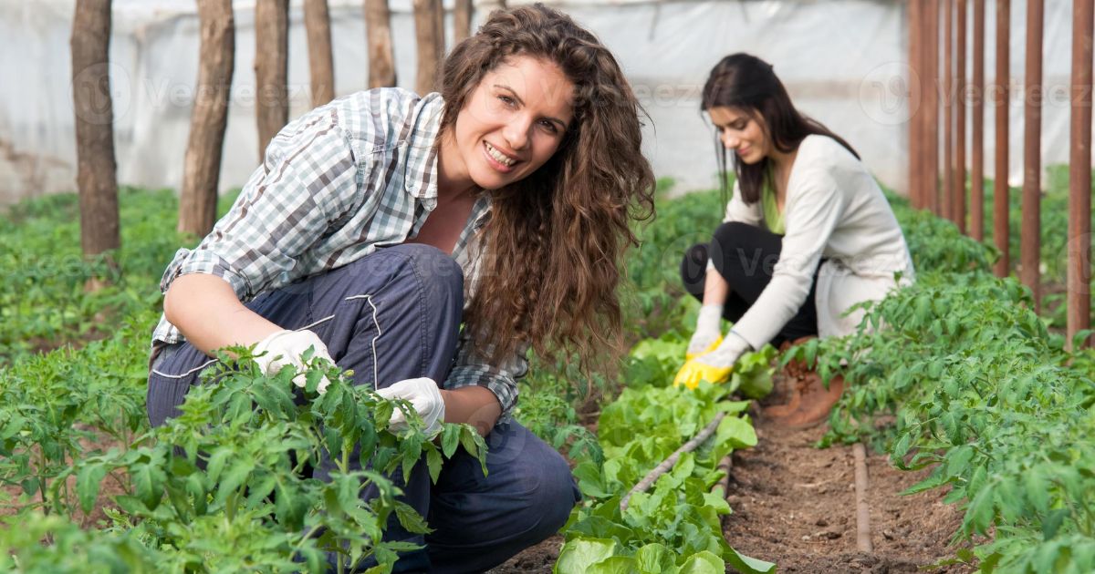 visa lao dong hungary 67f0de3c69bd1