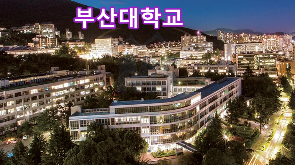 dai hoc quoc gia pusan 68159b586b189