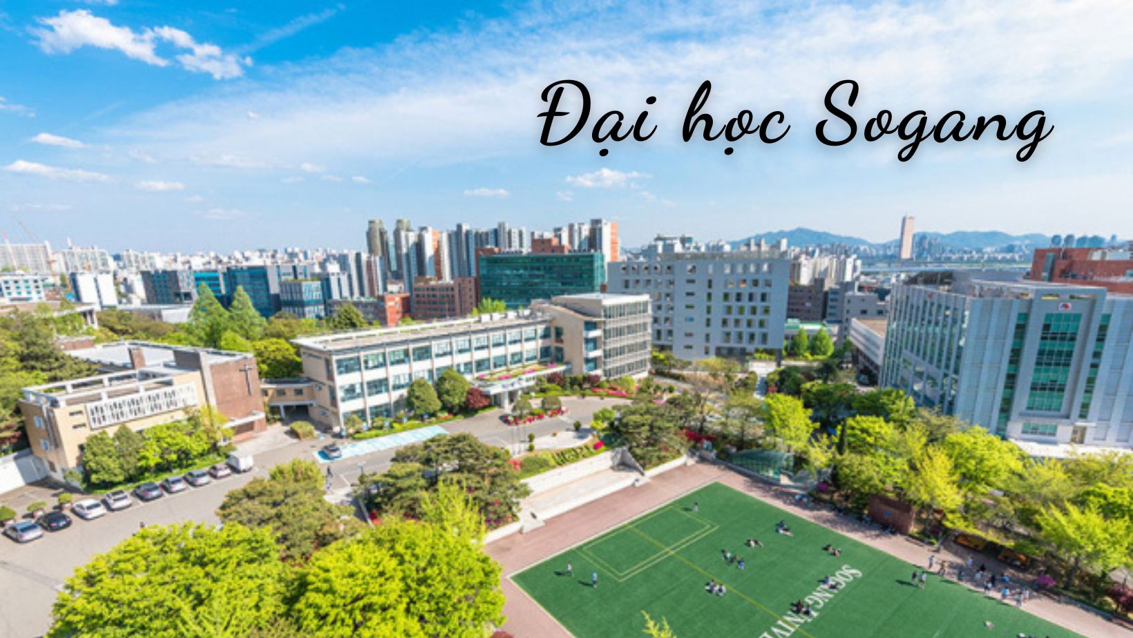 dai hoc sogang 6815b179ea998