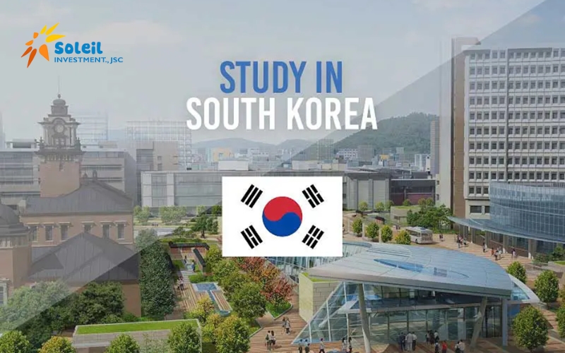 du hoc chuyen tiep 22 han quoc 6815af9e5419a