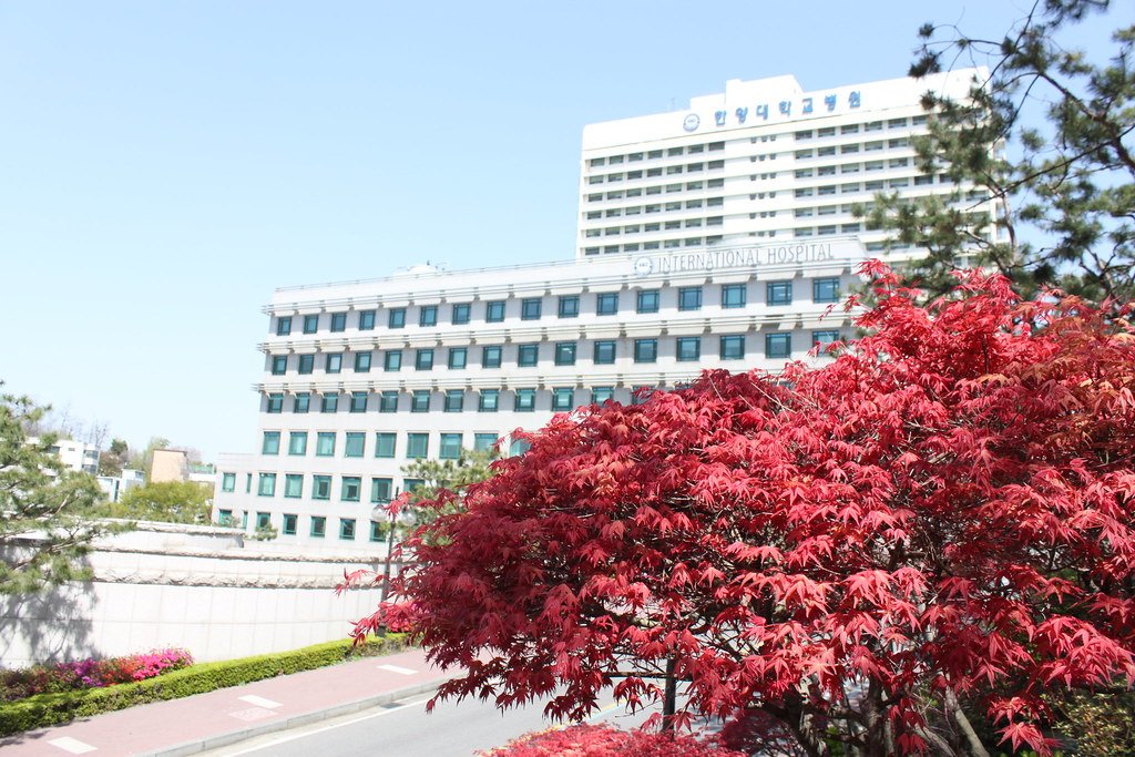 Du Học Hàn Quốc Trường Top 1 Du Học Hàn Quốc Trường Top 1