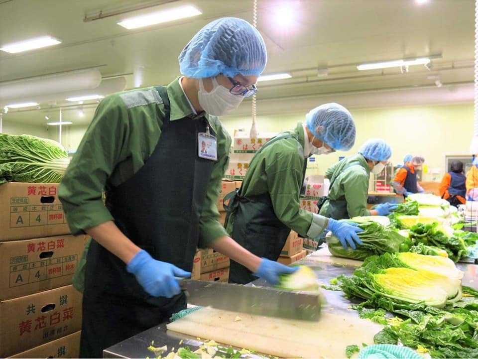 Ngành nghề hot trong XKLĐ Croatia - Cơ hội việc làm hấp dẫn dành cho lao động Việt Nam