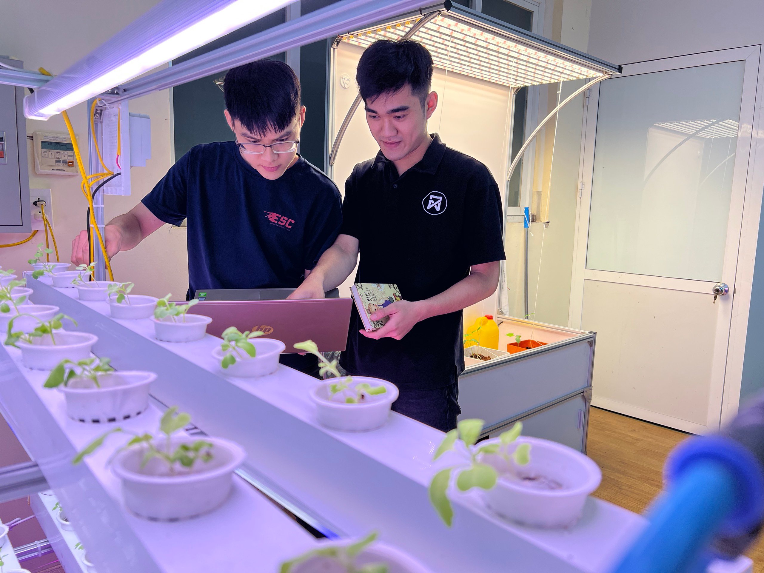 Kinh nghiệm sống và làm việc trong thời gian thực tập tại Đài Loan – Chuyến hành trình khám phá môi trường mới và phát triển bản thân Kinh nghiệm sống và làm việc trong thời gian thực tập tại Đài Loan – Chuyến hành trình khám phá môi trường mới và phát triển bản thân